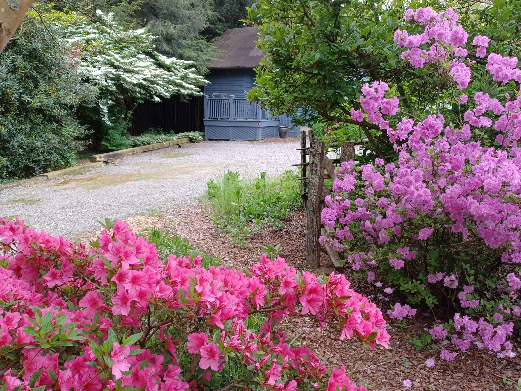 Restored1850S Log Cabin, With Gazebo And Gardens! 1 Mile To Downtown Weaverville Экстерьер фото